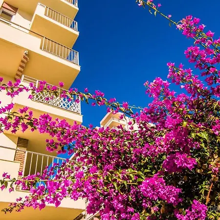 דירה 422 Estudio En Minerva Apartamentos- Vistas Al Jardin - Piscina Y Playa *