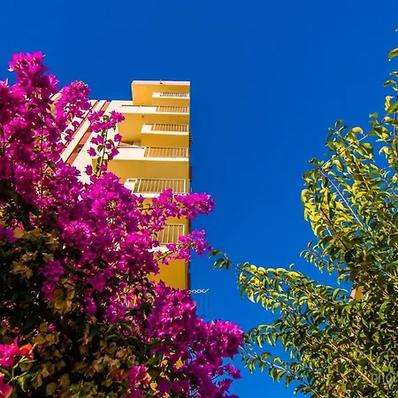 422 Estudio En Minerva Apartamentos- Vistas Al Jardin - Piscina Y Playa דירה *